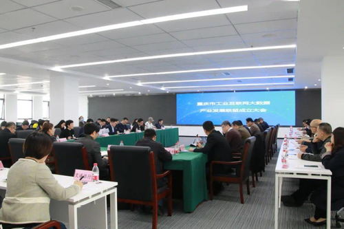 重慶市工業(yè)互聯(lián)網(wǎng)大數(shù)據(jù)產(chǎn)業(yè)發(fā)展聯(lián)盟在北碚成立，加速數(shù)據(jù)服務(wù)創(chuàng)新與產(chǎn)業(yè)融合
